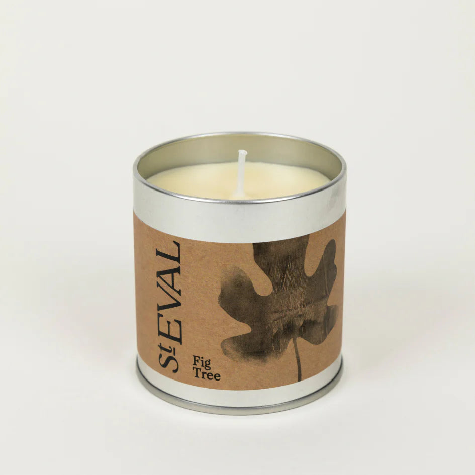 St. Eval Fig Tree Candle - Honey & Spice
