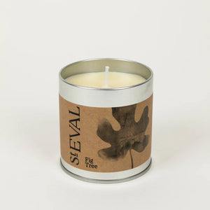 St. Eval Fig Tree Candle - Honey & Spice