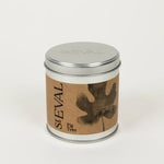 Load image into Gallery viewer, St. Eval Fig Tree Candle - Honey &amp; Spice
