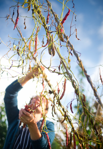 Abundance with Mark Diacono  - Tuesday 9th September